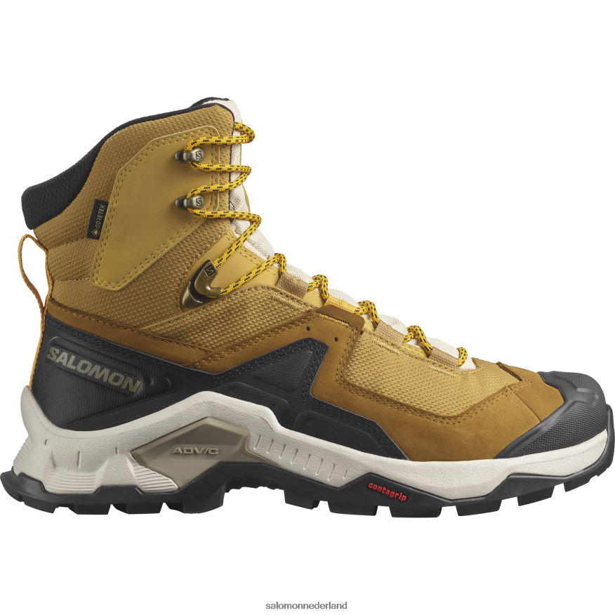 Leren wandelschoenen voor heren - Quest Element Gore-Tex komijn/gebleekt zand/saffraan NTFJN650 Salomon