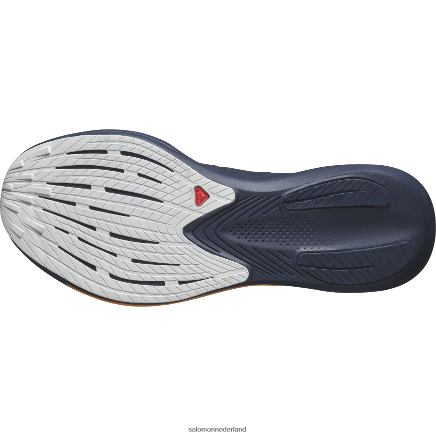 hardloopschoenen voor heren - fantasie sfeer indigo/nachtelijke hemel/maansteen NTFJN61071 Salomon