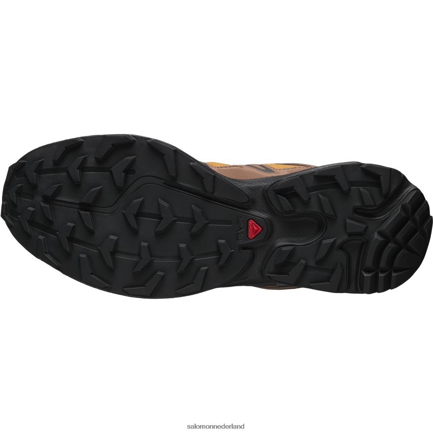 sportschoenen voor heren - XT-6 Expanse 75th goud eiken/eikel/zwart NTFJN6225 Salomon