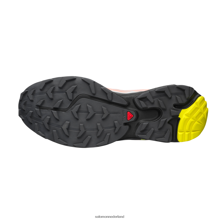 sportschoenen voor heren - XT-6 bloeiende dahlia/monument/zwart NTFJN672 Salomon