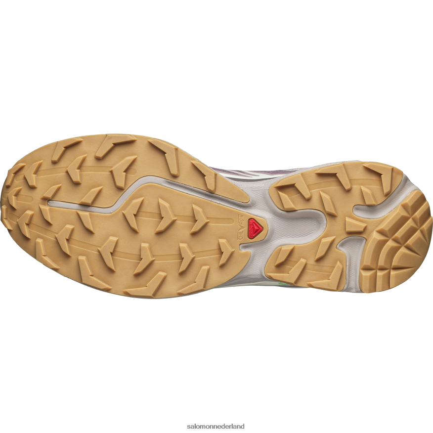 sportschoenen voor heren - XT-6 kwartel/pruimkatje/vanille-ijs NTFJN680 Salomon