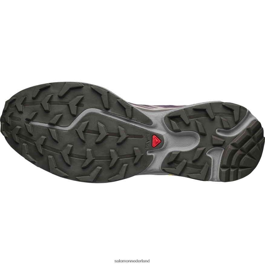 sportschoenen voor heren - XT-6 maanlandschap/pruimkatje/meeuw NTFJN679 Salomon
