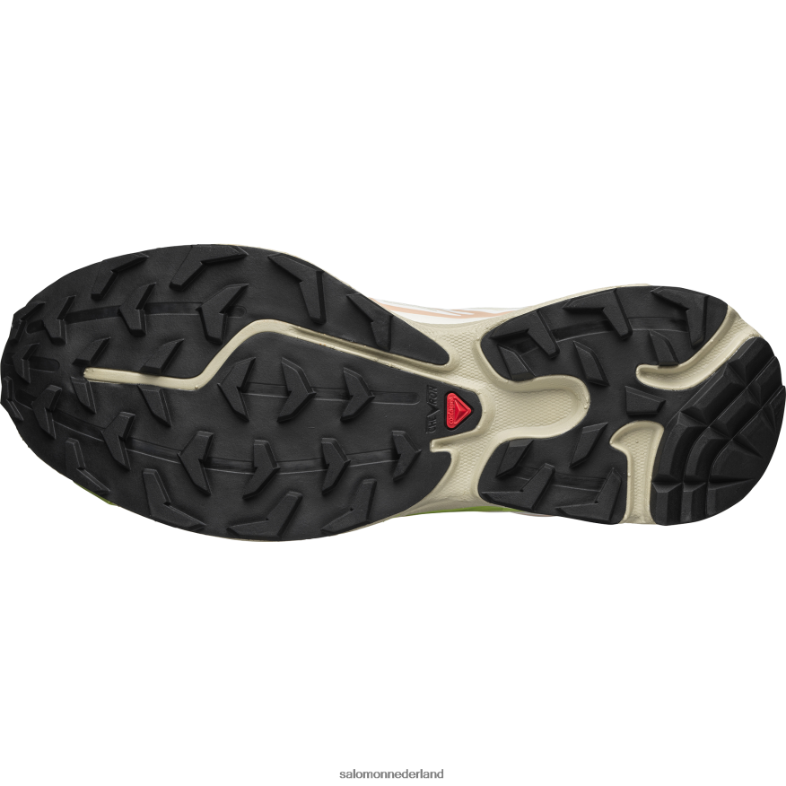 sportschoenen voor heren - XT-6 vanille-ijs/veergrijs/roze wolk NTFJN682 Salomon