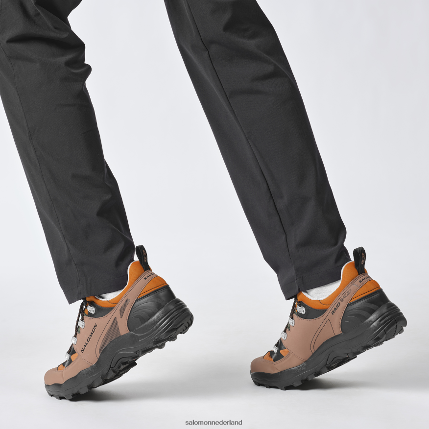 sportschoenen voor heren - raid wind 75th goud eiken/eikel/zwart NTFJN6161 Salomon