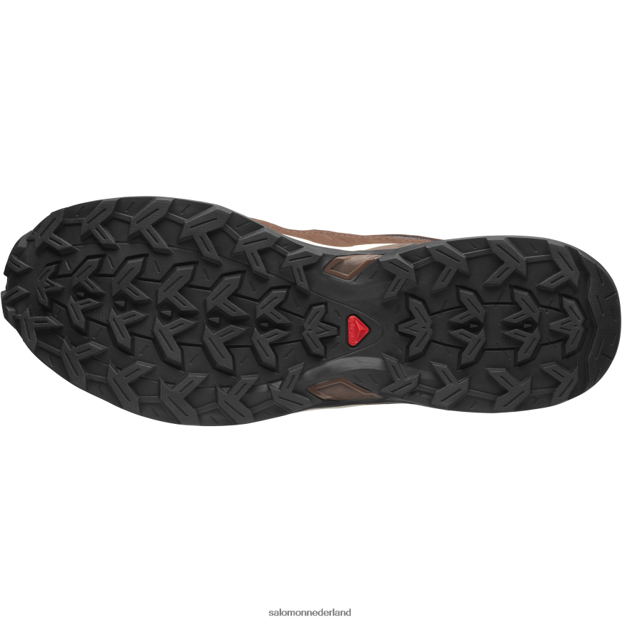 sportschoenen voor heren - shelter laag leer vanille-ijs/chocoladefondant/herfstblad NTFJN6174 Salomon