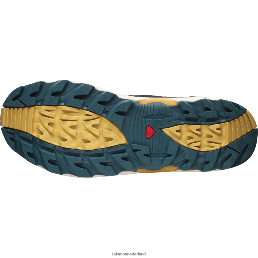 sportschoenen voor heren - xa pro 1 mid gore-tex chocolade fondant/arrowwood/zwart NTFJN6198 Salomon