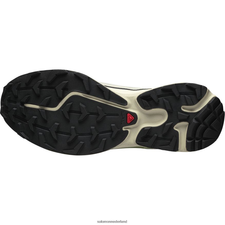 sportschoenen voor heren - xt-6 ft regenachtige dag/epsom/perzikbeige NTFJN690 Salomon