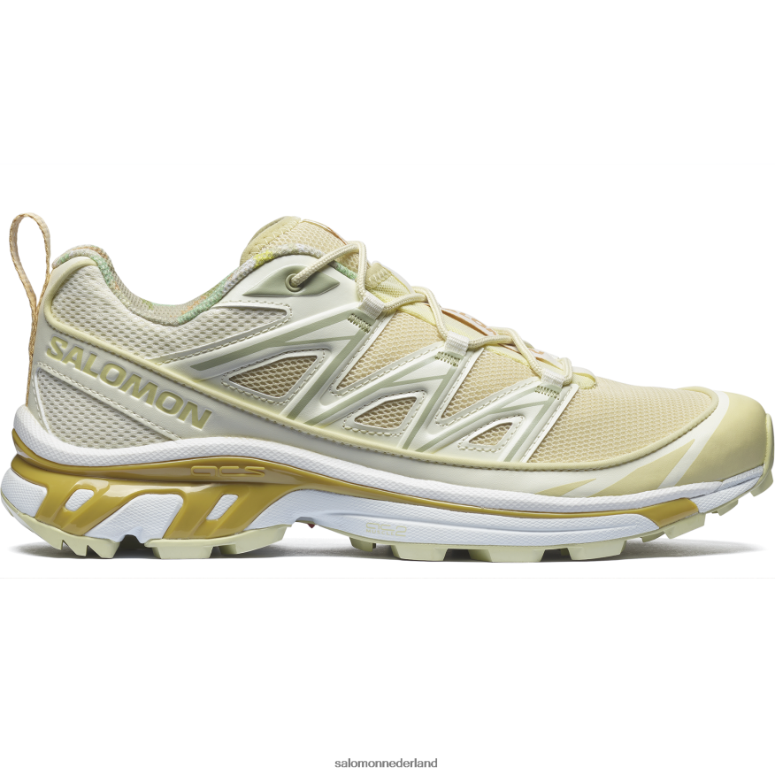 sportschoenen voor heren - xt-6 uitgestrekte cottage-kern vanille-ijs/woestijnsalie/taffy NTFJN6142 Salomon