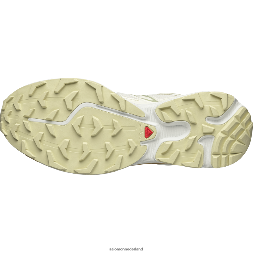 sportschoenen voor heren - xt-6 uitgestrekte cottage-kern vanille-ijs/woestijnsalie/taffy NTFJN6142 Salomon