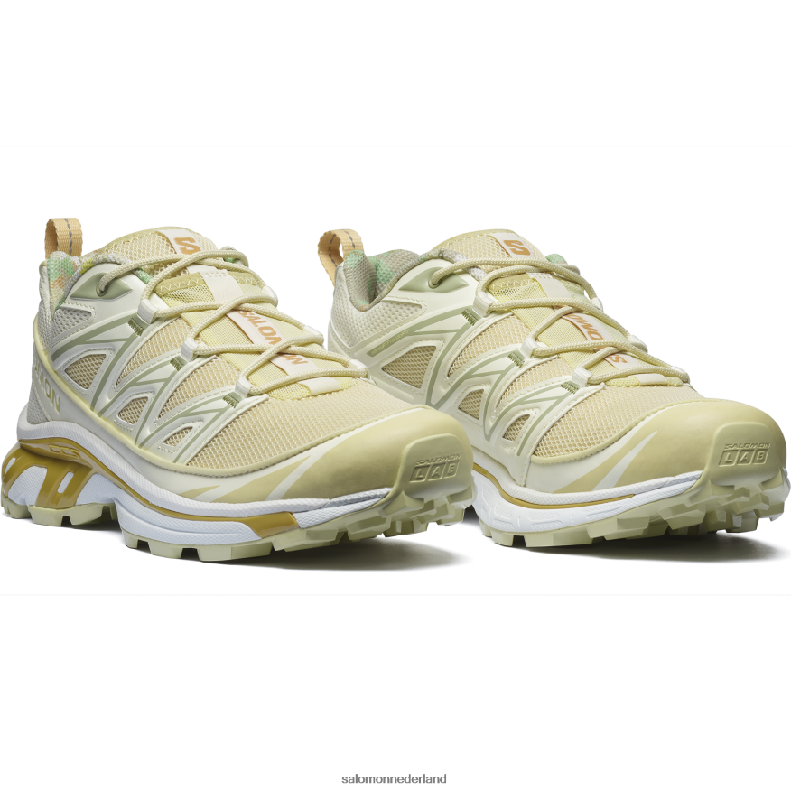 sportschoenen voor heren - xt-6 uitgestrekte cottage-kern vanille-ijs/woestijnsalie/taffy NTFJN6142 Salomon