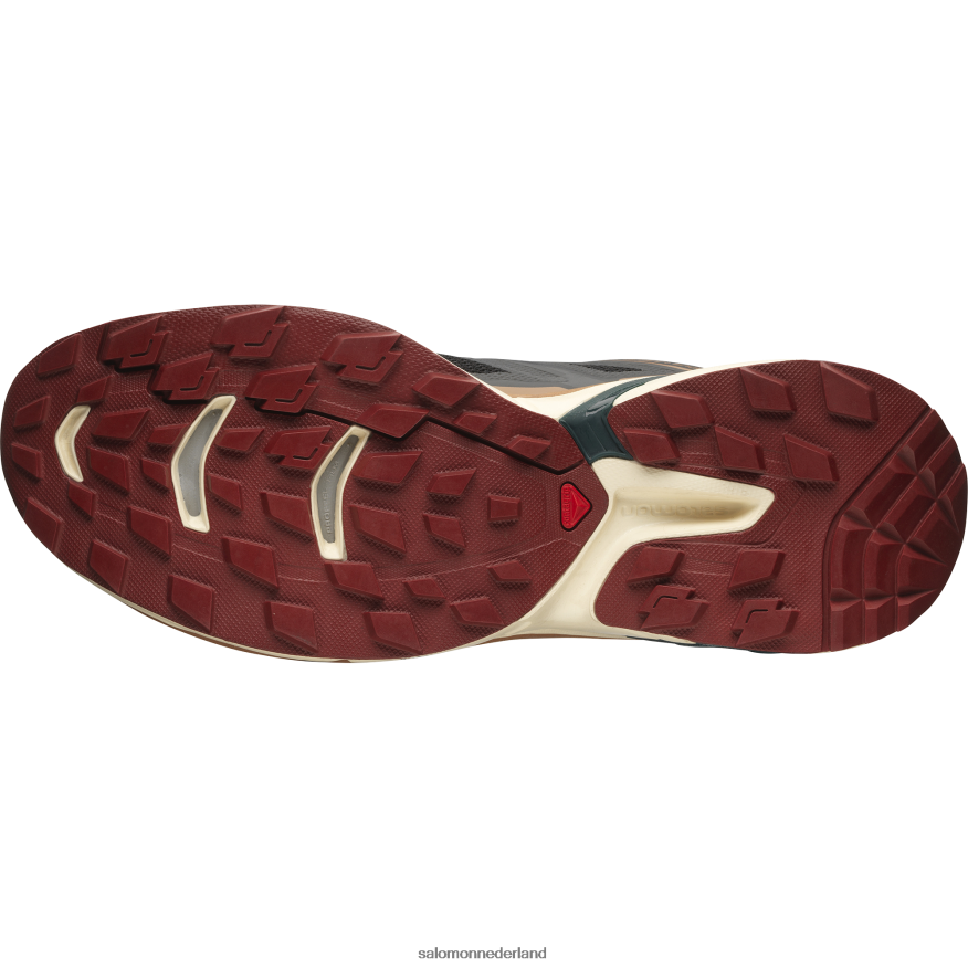 sportschoenen voor heren - xt-wings 2 zwart/gebleekt zand/ponderosa den NTFJN6197 Salomon