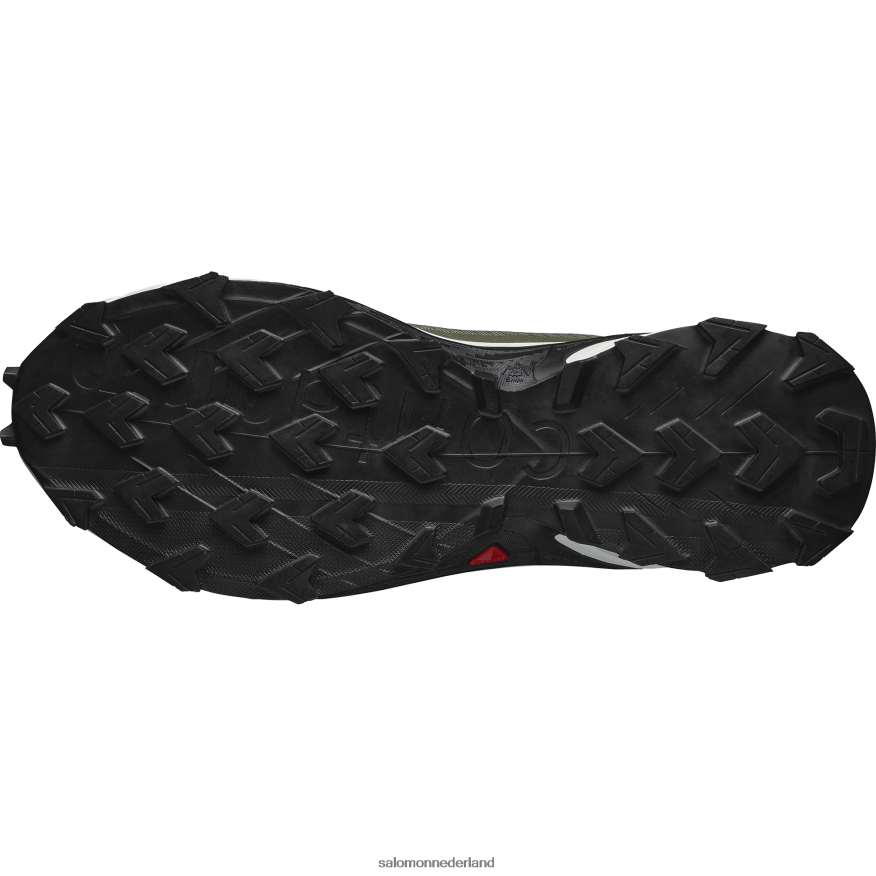 trailrunningschoenen voor heren - alphacross 4 gore-tex diep korstmosgroen/vanille-ijs/olijfnacht NTFJN61476 Salomon