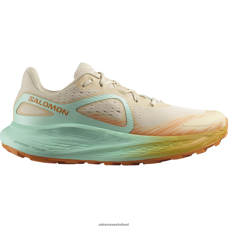 trailrunningschoenen voor heren - glide max tr gebleekt zand/yucca/oranje peper NTFJN61446 Salomon