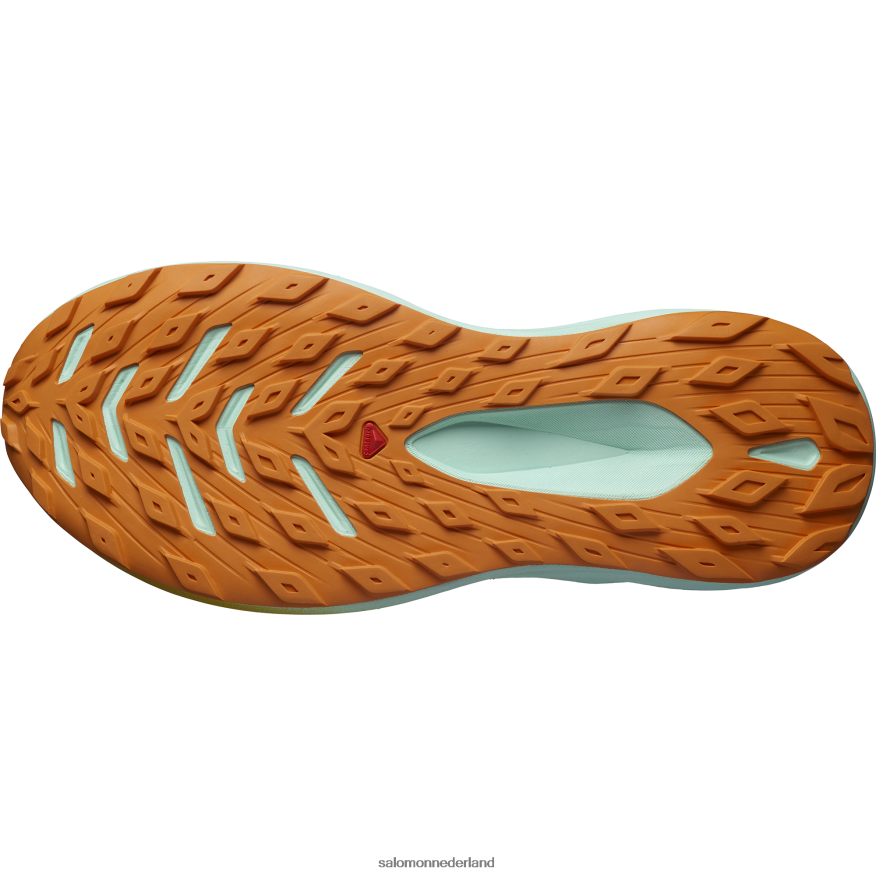 trailrunningschoenen voor heren - glide max tr gebleekt zand/yucca/oranje peper NTFJN61446 Salomon