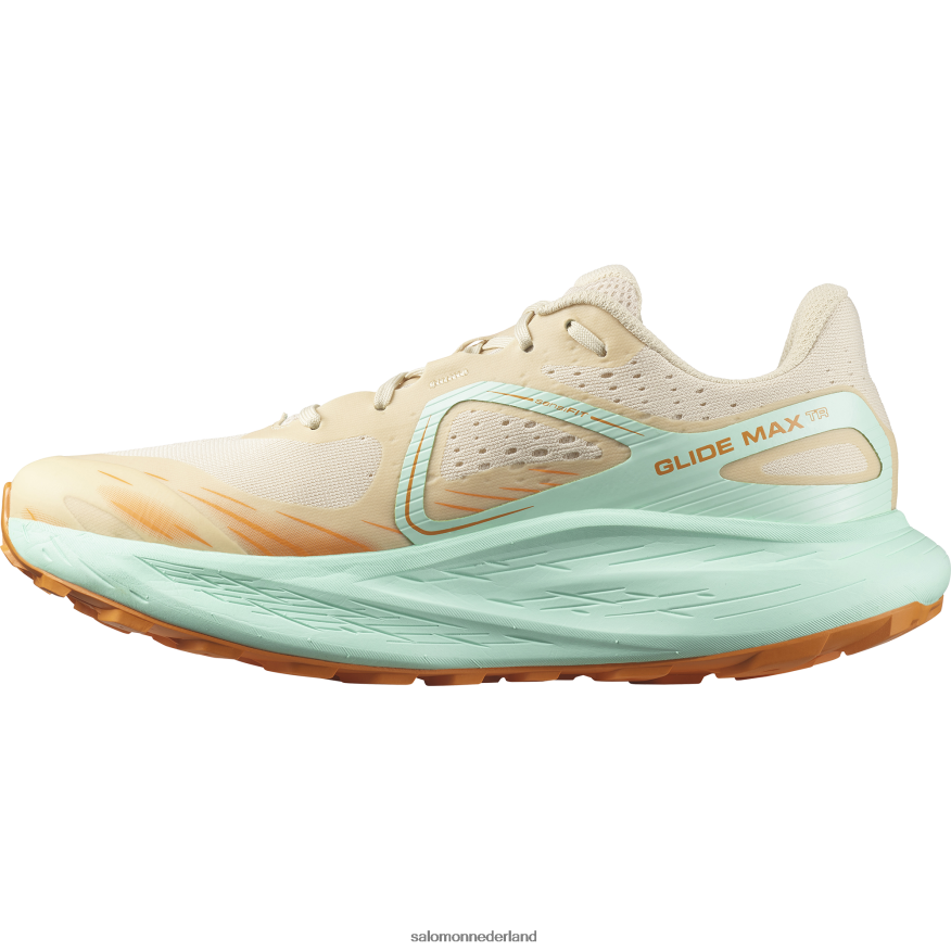 trailrunningschoenen voor heren - glide max tr gebleekt zand/yucca/oranje peper NTFJN61446 Salomon