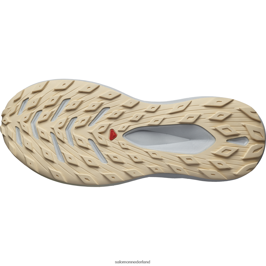 trailrunningschoenen voor heren - glide max tr rustige schaduw/parelblauw/gebleekt zand NTFJN61449 Salomon