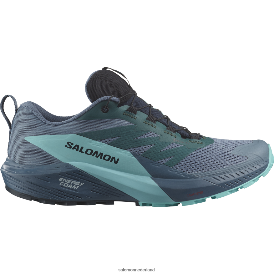 trailrunningschoenen voor heren - sense ride 5 gore-tex koolstof/blauwe uitstraling/chinablauw NTFJN61445 Salomon