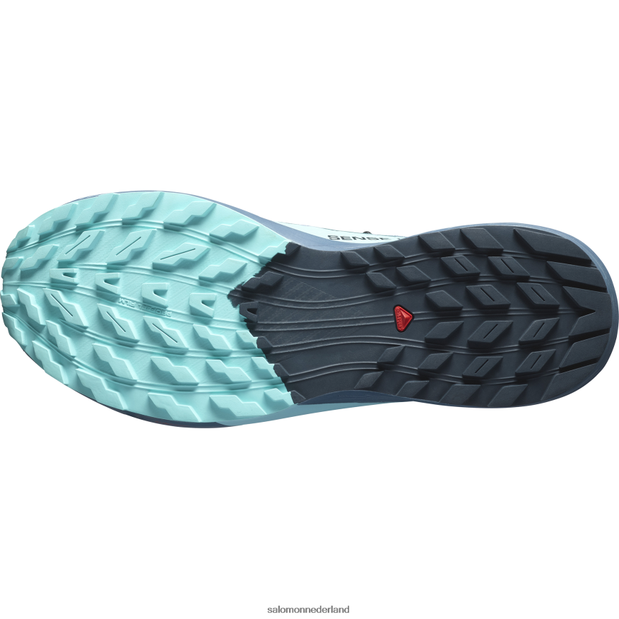 trailrunningschoenen voor heren - sense ride 5 gore-tex koolstof/blauwe uitstraling/chinablauw NTFJN61445 Salomon