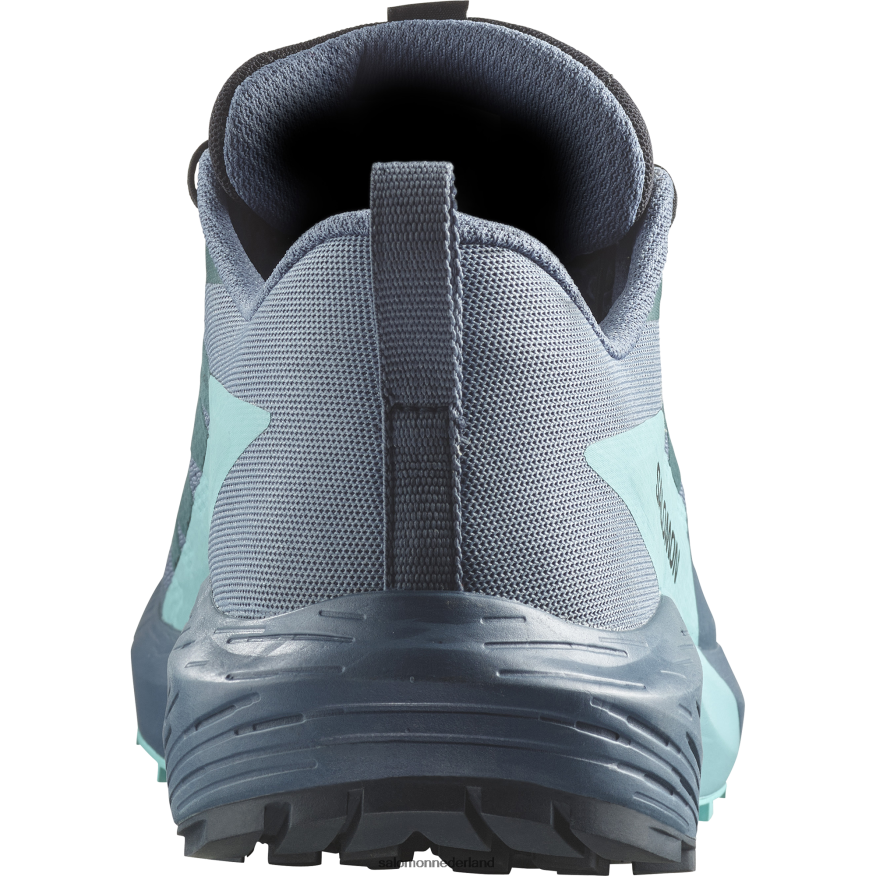 trailrunningschoenen voor heren - sense ride 5 gore-tex koolstof/blauwe uitstraling/chinablauw NTFJN61445 Salomon