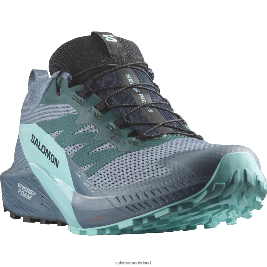 trailrunningschoenen voor heren - sense ride 5 gore-tex koolstof/blauwe uitstraling/chinablauw NTFJN61445 Salomon