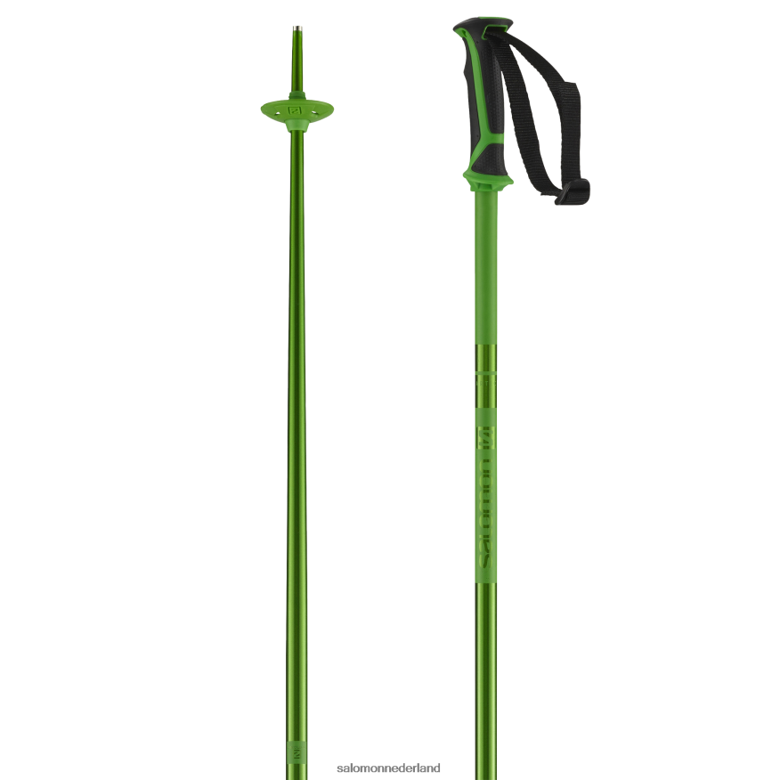 alpine stokken voor heren - arctisch groente NTFJN61258 Salomon