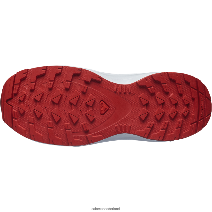 junior - kinderschoenen - xa pro v8 stormachtig weer/zenblauw/gojibes NTFJN61357 Salomon