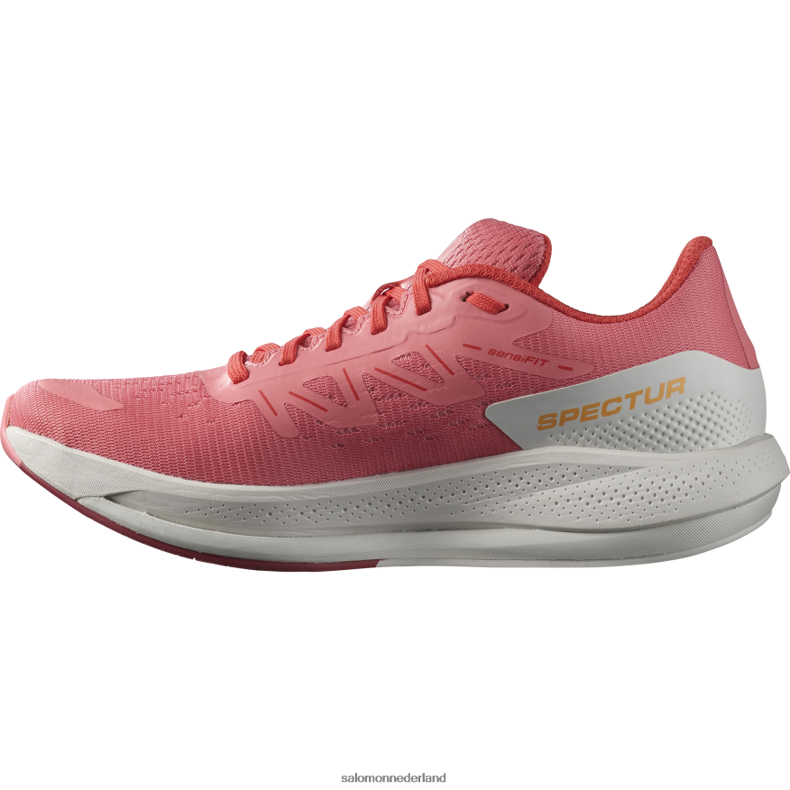 hardloopschoenen voor dames - spectur theeroos/maansteen/poppy rood NTFJN6746 Salomon