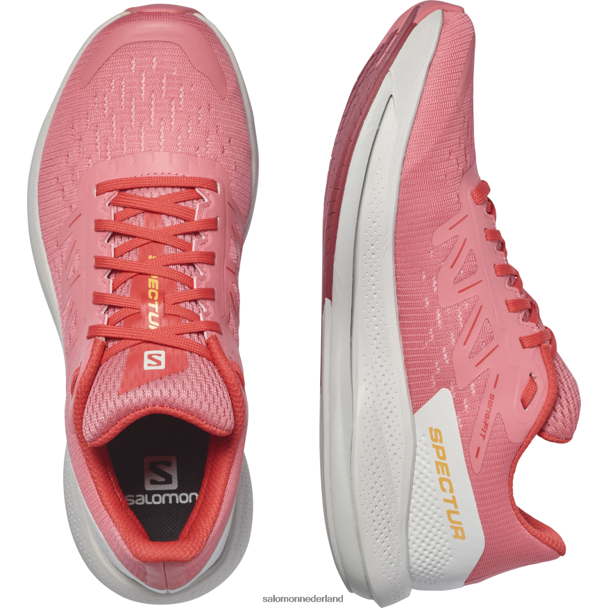 hardloopschoenen voor dames - spectur theeroos/maansteen/poppy rood NTFJN6746 Salomon