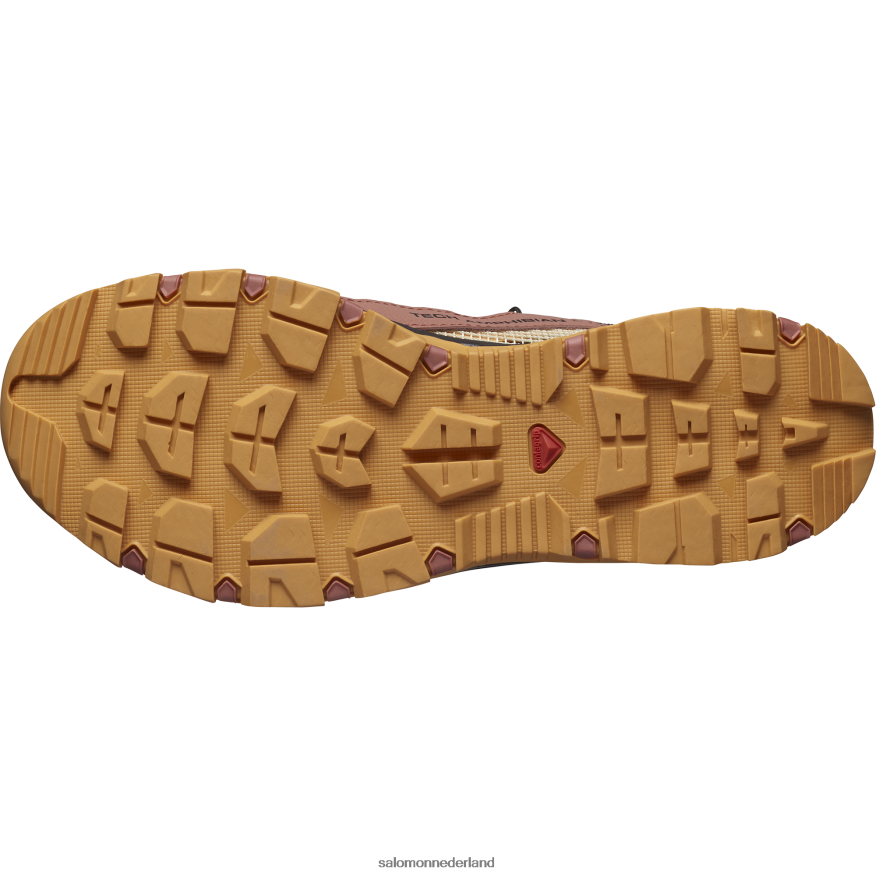 dames waterschoenen - techamphibian 5 cederhout/buckskin/rozenwolk NTFJN6789 Salomon