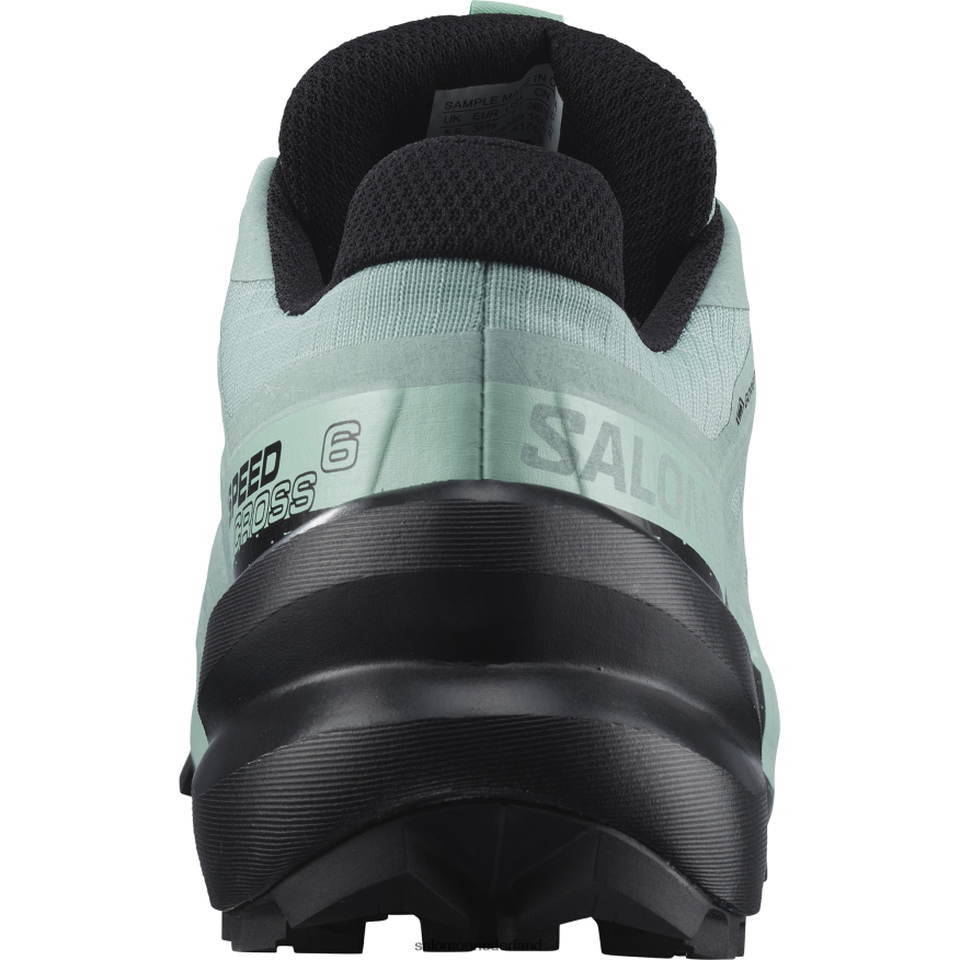 dames trailrunningschoenen - speedcross 6 gore-tex aquifer/zwart/yucca NTFJN61517 Salomon