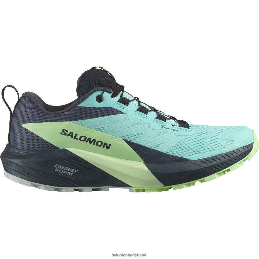 trailrunningschoenen voor dames - sense ride 5 gore-tex blauwe glans/groene as/oostindische inkt NTFJN61528 Salomon