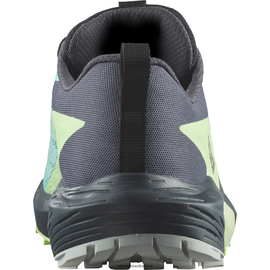 trailrunningschoenen voor dames - sense ride 5 gore-tex blauwe glans/groene as/oostindische inkt NTFJN61528 Salomon
