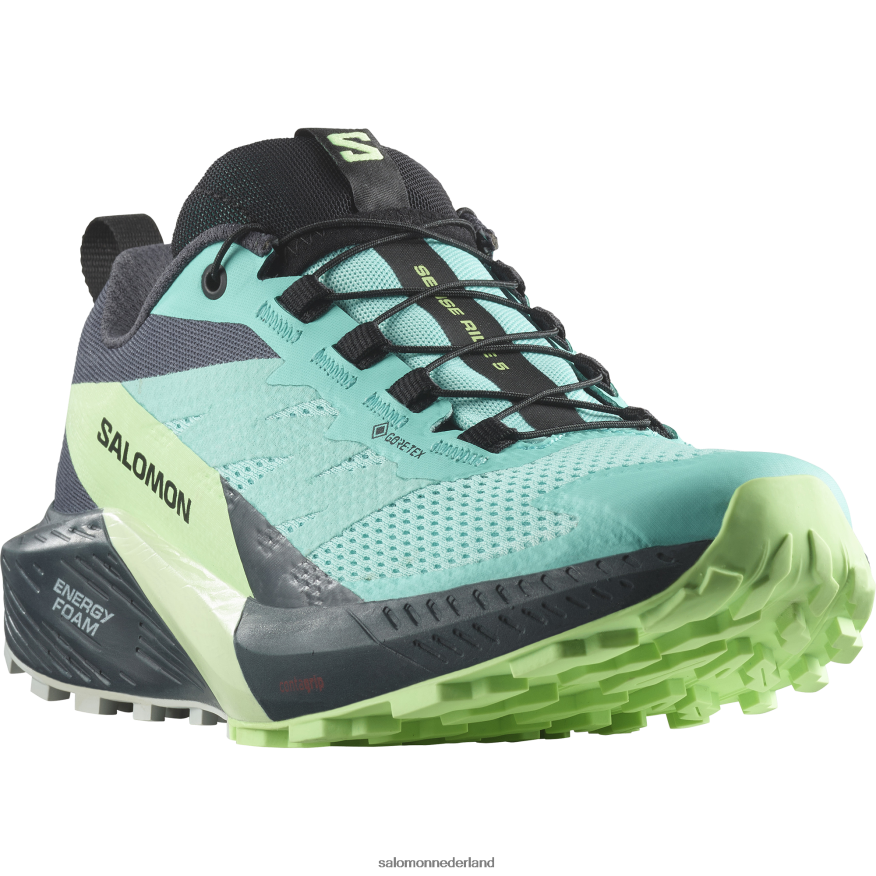 trailrunningschoenen voor dames - sense ride 5 gore-tex blauwe glans/groene as/oostindische inkt NTFJN61528 Salomon