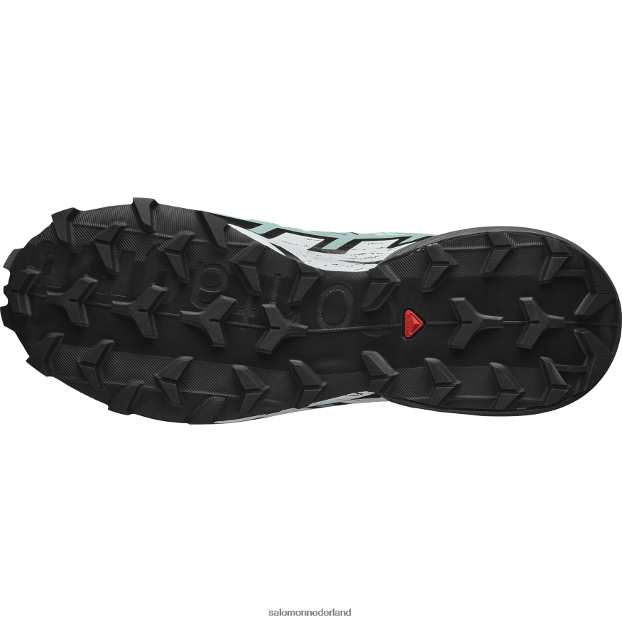 trailrunningschoenen voor dames - speedcross 6 yucca/ebbenhout/wit NTFJN61505 Salomon