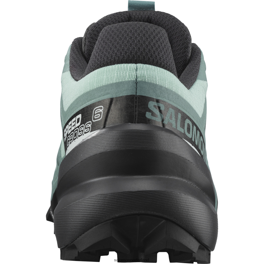 trailrunningschoenen voor dames - speedcross 6 yucca/ebbenhout/wit NTFJN61505 Salomon