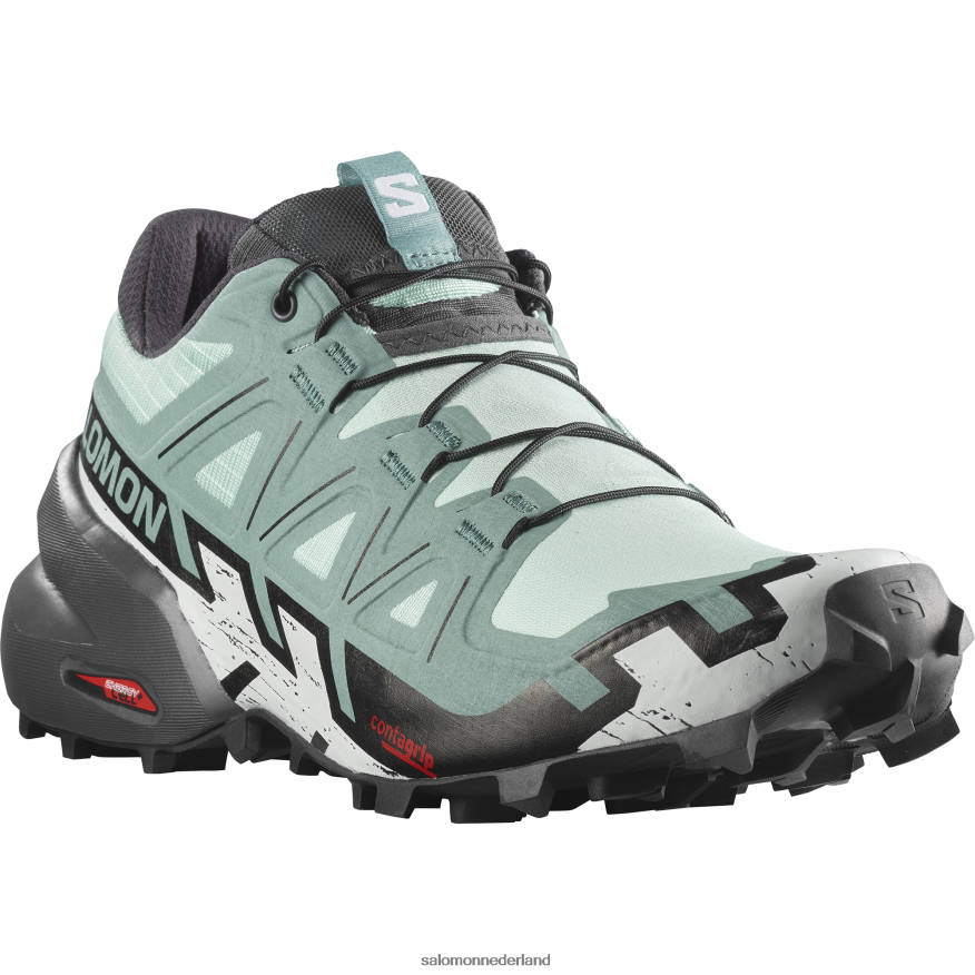 trailrunningschoenen voor dames - speedcross 6 yucca/ebbenhout/wit NTFJN61505 Salomon