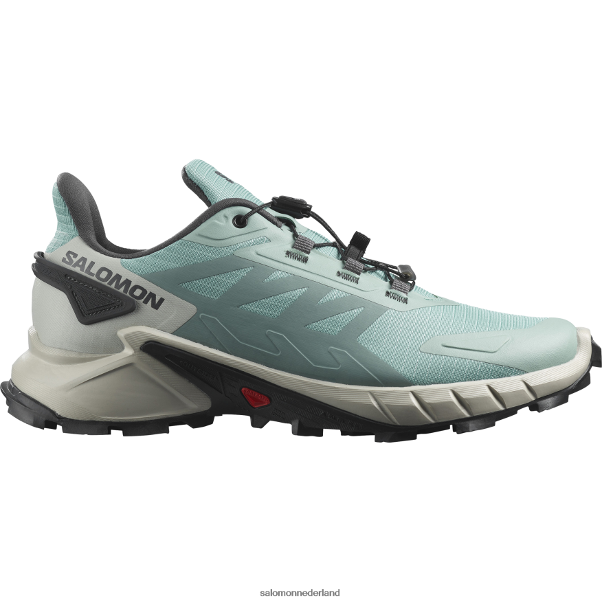 trailrunningschoenen voor dames - supercross 4 watervoerende laag/maansteen/ebbenhout NTFJN61543 Salomon