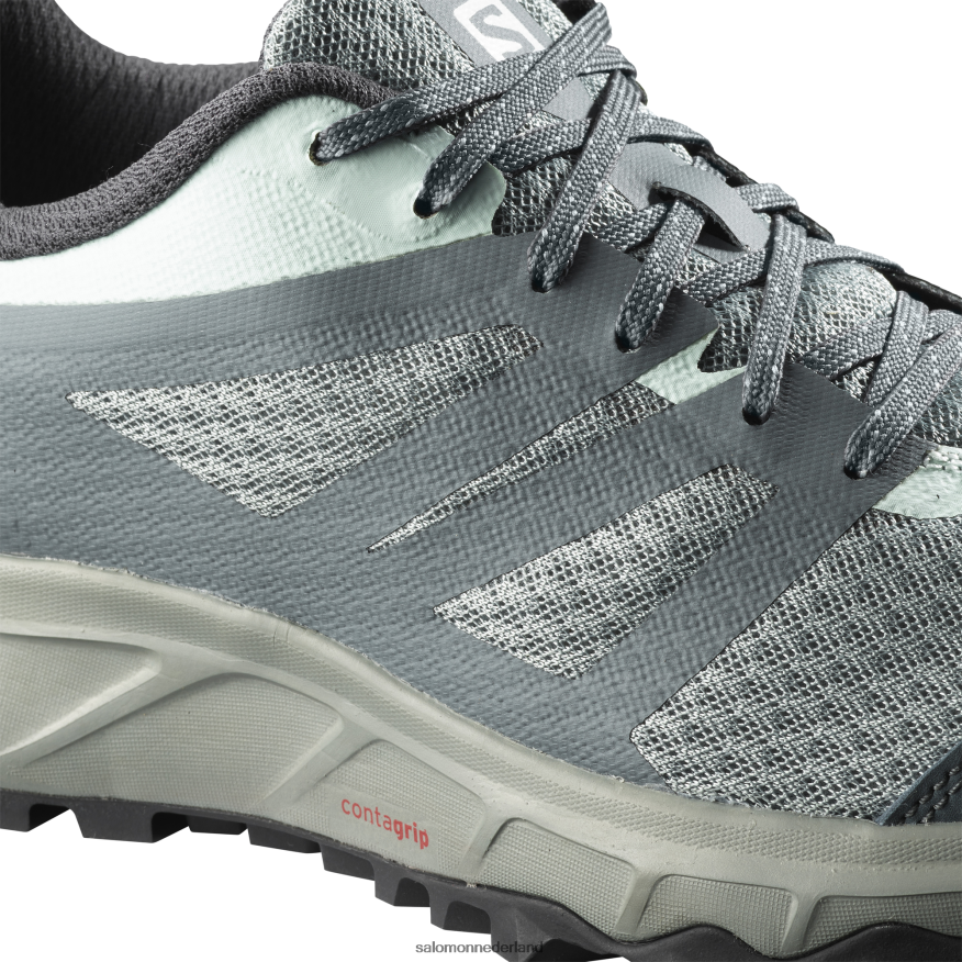 trailrunningschoenen voor dames - trailster 2 lood/stormachtig weer/ijzige ochtend NTFJN61547 Salomon