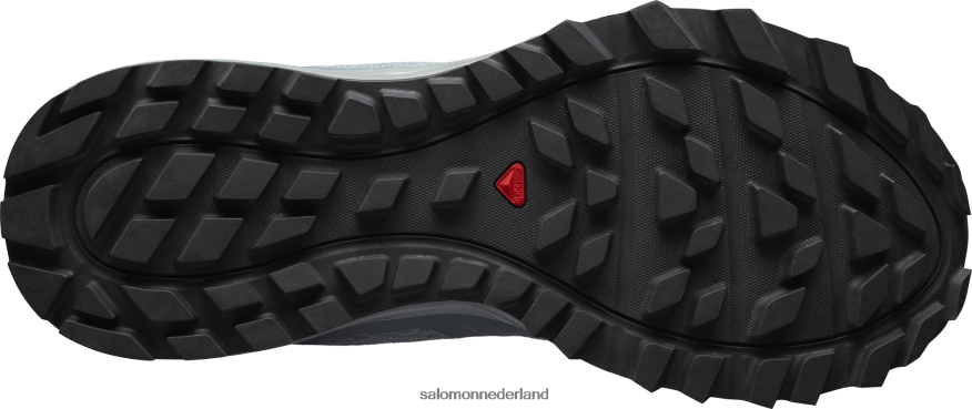 trailrunningschoenen voor dames - trailster 2 lood/stormachtig weer/ijzige ochtend NTFJN61547 Salomon