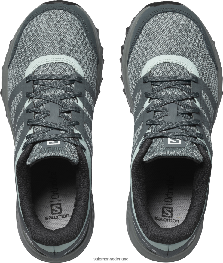 trailrunningschoenen voor dames - trailster 2 lood/stormachtig weer/ijzige ochtend NTFJN61547 Salomon
