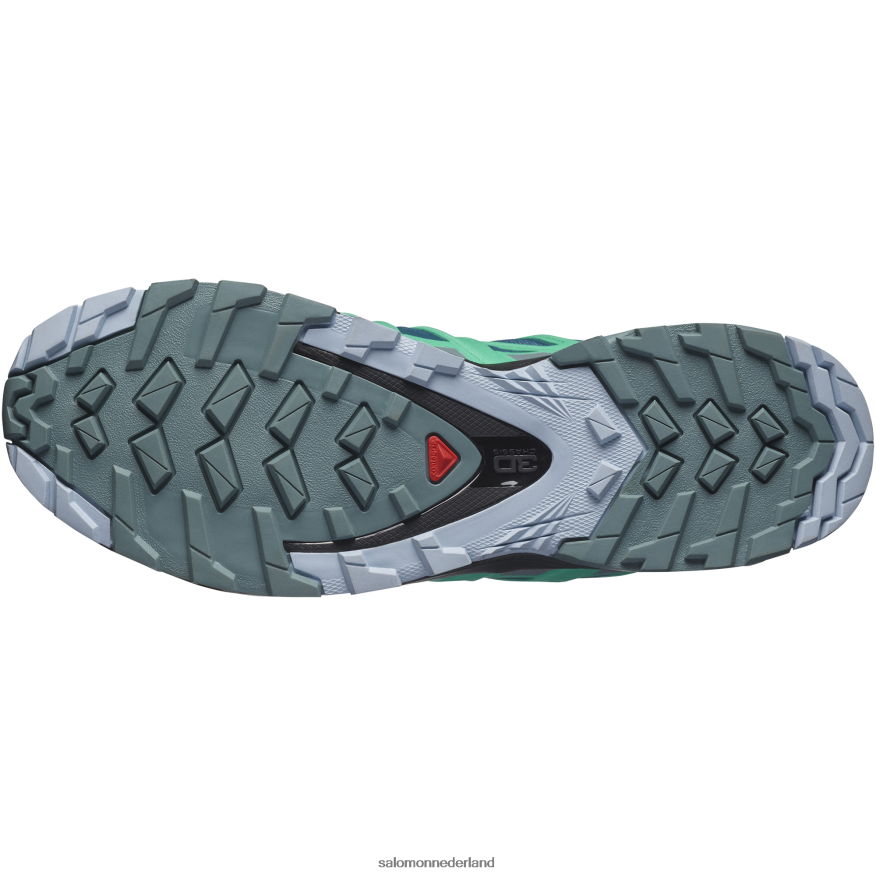 trailrunningschoenen voor dames - xa pro 3d v8 gore-tex legioenblauw/trooper/mintblad NTFJN61539 Salomon