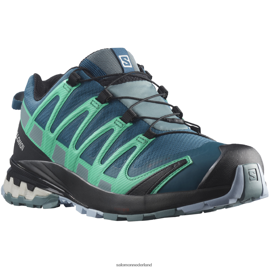 trailrunningschoenen voor dames - xa pro 3d v8 gore-tex legioenblauw/trooper/mintblad NTFJN61539 Salomon