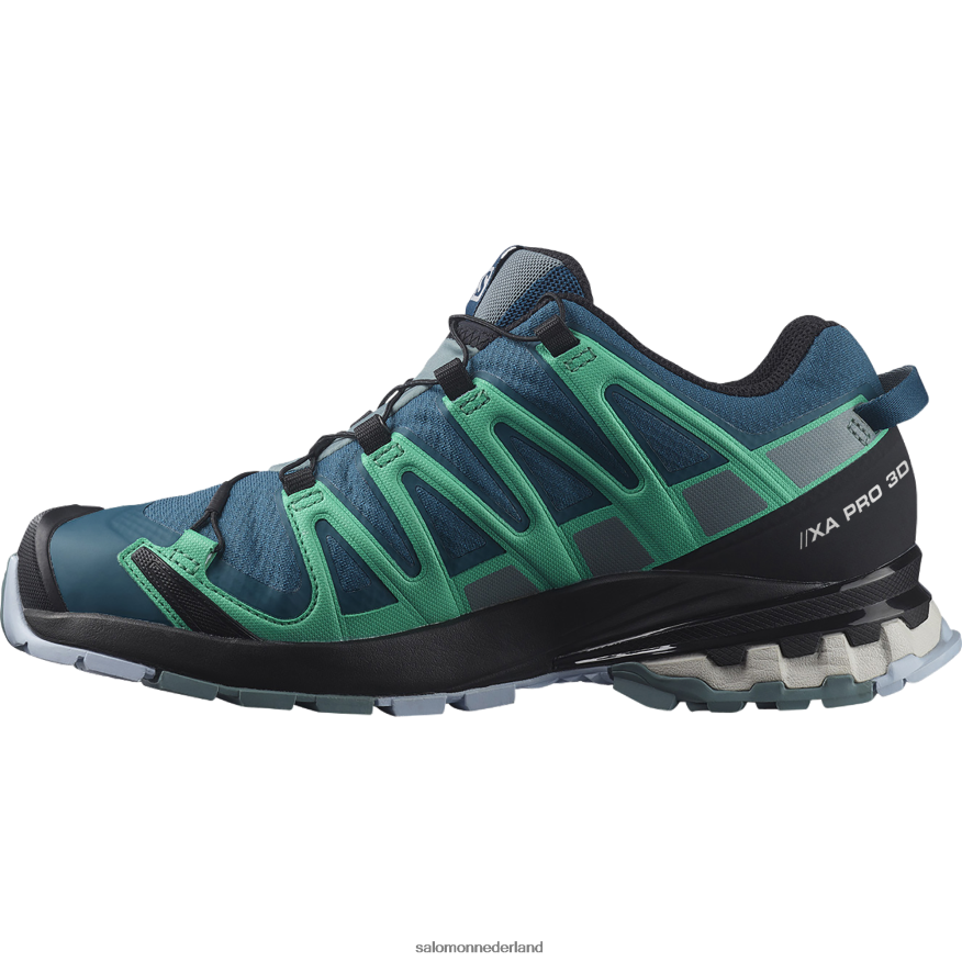 trailrunningschoenen voor dames - xa pro 3d v8 gore-tex legioenblauw/trooper/mintblad NTFJN61539 Salomon