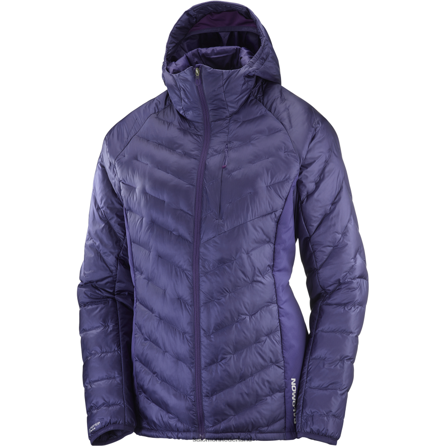 geïsoleerde damesjas met capuchon - overzicht primaloft astrale uitstraling NTFJN6834 Salomon