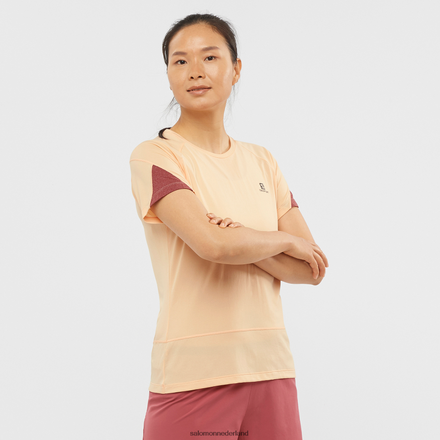 dames t-shirt met korte mouwen - gekruiste run abrikozenijs/heide/cabernet NTFJN6891 Salomon
